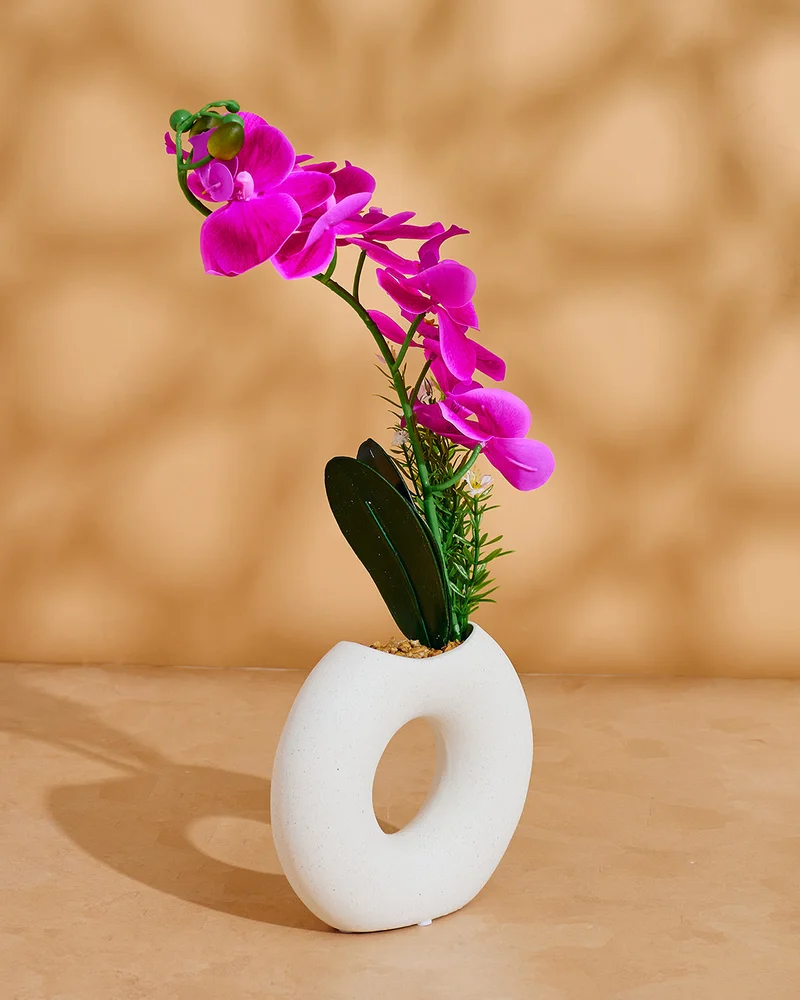 Redtag Purple Orchid In Circle Vase
