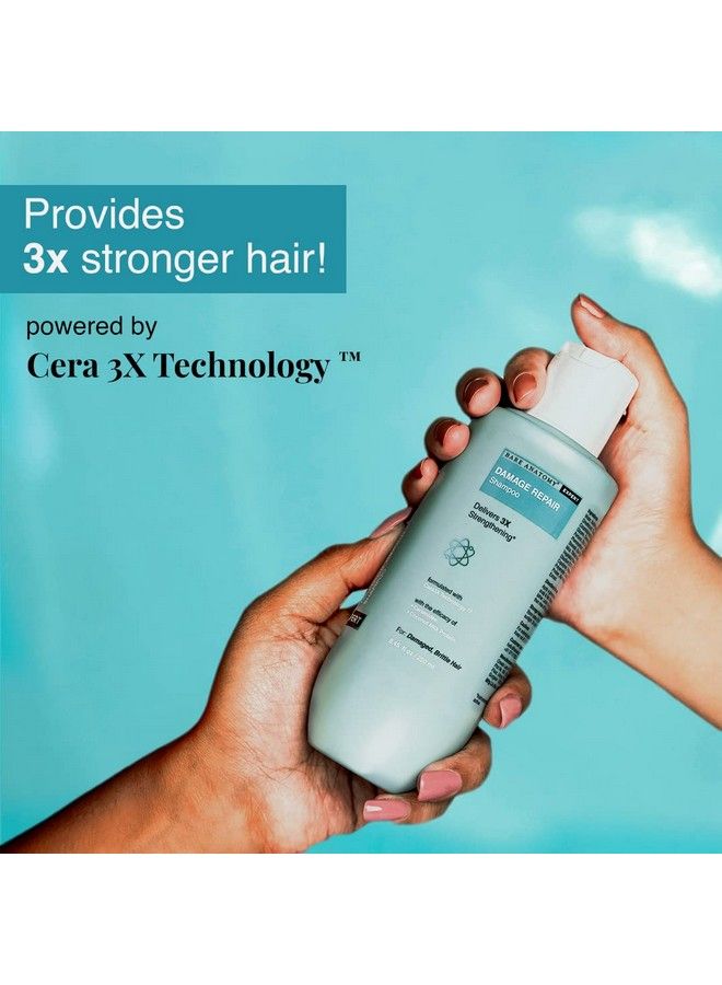 BARE ANATOMY Damage Repair Hair Shampoo ; Provides 3X Strengthening Powered By Ceramide A2 & Coconut Milk Protein ; For Damaged Dry & Frizzy Hair ; Sulphate & Paraben Free ; For Women & Men ; 250Ml  - Image 3