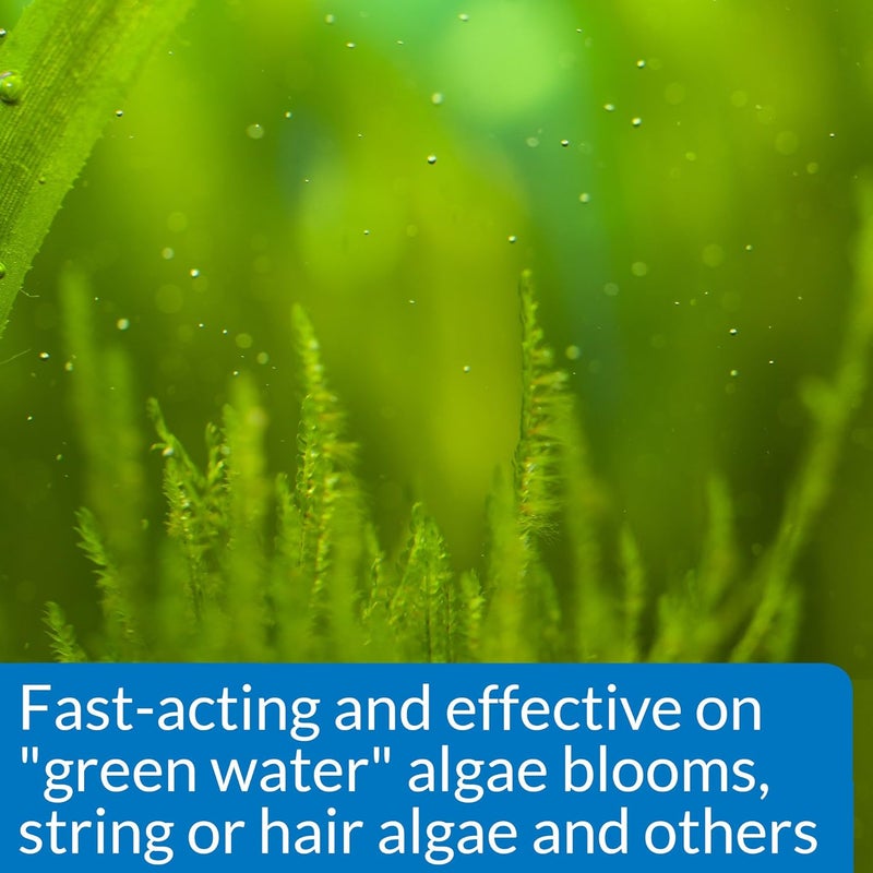 API ALGAEFIX Algae Control 1.25-Ounce Bottle for Freshwater Aquariums - Image 3