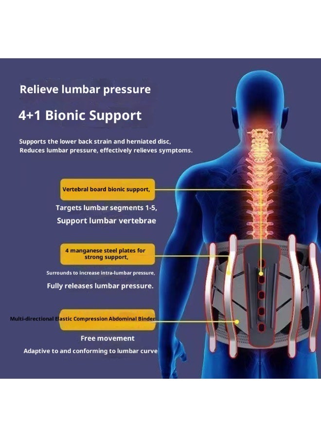 Back Brace Lumbar Support Belt for Lower Back Pain Relief, Breathable Back Support Belt with 4 Metal Support Stays for Heavy Lifting, Work and Exercise, Men and Women, L - Image 2