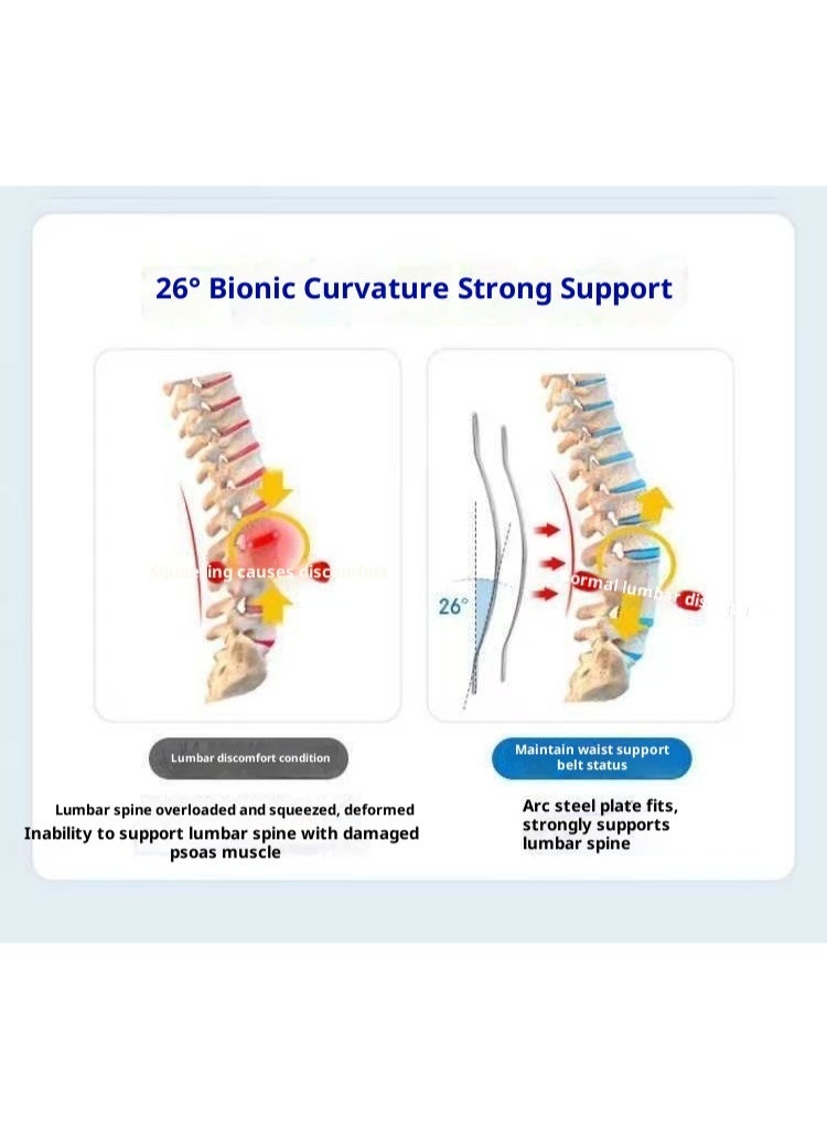 Back Brace Lumbar Support Belt for Lower Back Pain Relief, Breathable Back Support Belt with 4 Metal Support Stays for Heavy Lifting, Work and Exercise, Men and Women, L - Image 3