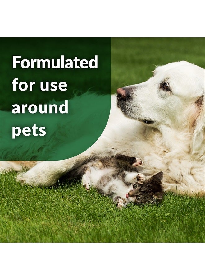 simple green Outdoor Odor Eliminator for Pets, Dogs, 1 gallon Refill - Ideal for Artificial Lawns & Patio, Milky White - Image 5