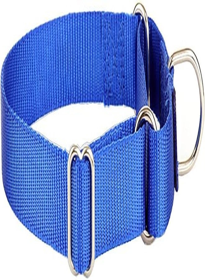 FOR YOUR PETS طوق مارتينجال للكلاب متوسطة الحجم، مزود بإبزيم معدني متين، طوق نايلون قابل للتعديل يمنع الانزلاق، طوق للكلاب متوسطة الحجم (أزرق). - Image 2