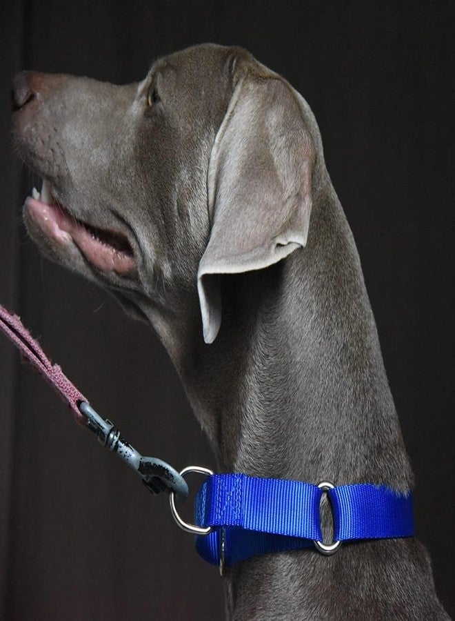 FOR YOUR PETS طوق مارتينجال للكلاب متوسطة الحجم، مزود بإبزيم معدني متين، طوق نايلون قابل للتعديل يمنع الانزلاق، طوق للكلاب متوسطة الحجم (أزرق). - Image 3