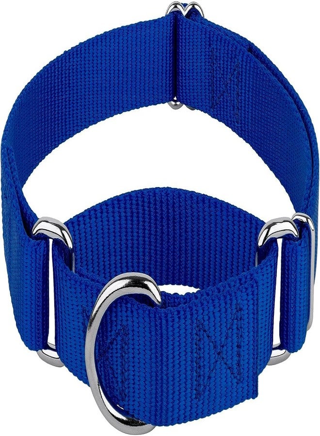 FOR YOUR PETS طوق مارتينجال للكلاب متوسطة الحجم، مزود بإبزيم معدني متين، طوق نايلون قابل للتعديل يمنع الانزلاق، طوق للكلاب متوسطة الحجم (أزرق). - Image 1