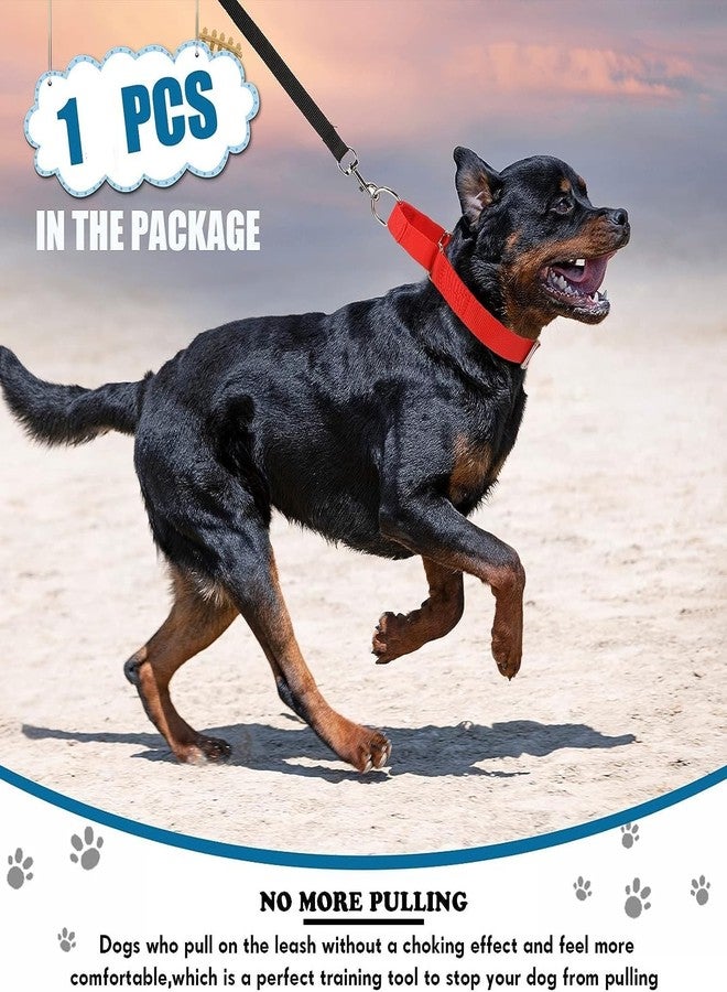 FOR YOUR PETS طوق مارتينجال للكلاب متوسطة الحجم، مزود بإبزيم معدني متين، طوق نايلون قابل للتعديل يمنع الانزلاق، طوق للكلاب متوسطة الحجم (أزرق). - Image 5