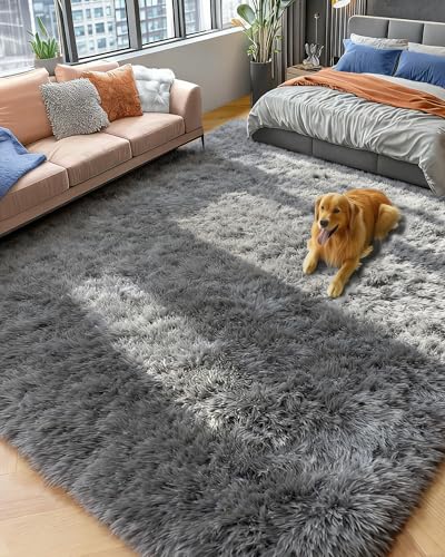 PAGISOFE Grey Fluffy Rugs for Bedroom 4x6 Area Rug Shag Rug for Kids Room Furry Carpet Modern Living Room Rug Soft Shaggy Boys Rug Fuzzy Throw Rugs for Home Decor Aesthetic Dorm Nursery Gray - Image 1