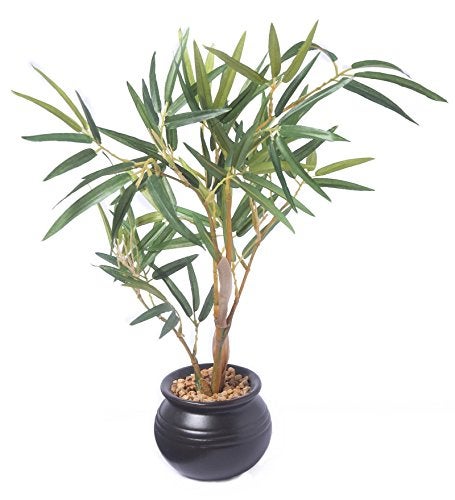 Fourwalls Artificial Bamboo Bonsai Plant in a Ceramic Vase for Home and Office Decor (30 cm Tall, Multicolor) - Image 3