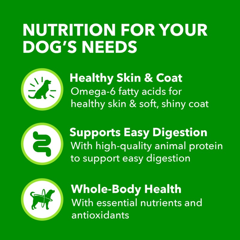IAMS Proactive Health Healthy Aging Wet Dog Food Classic Ground with Slow Cooked Chicken and Rice, 13 oz. Cans (12 Count, Pack of 1) - Image 4