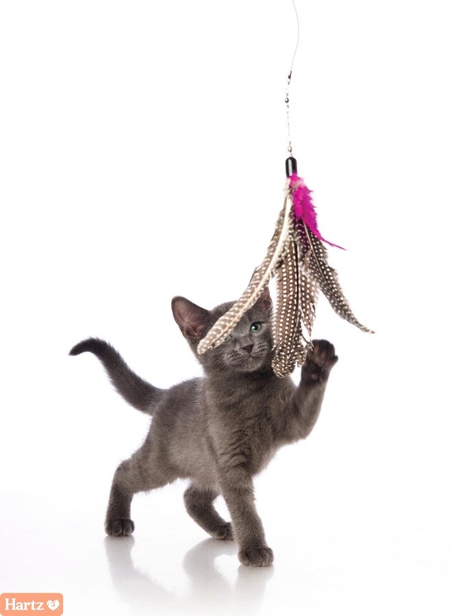 Hartz Just for Cats Kitty Caster Interactive Cat Toy Wand - Image 4