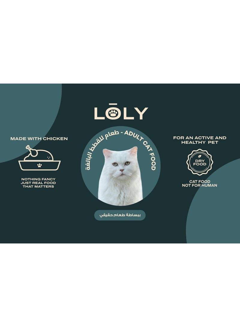 لولي Kitten + Mama Bundle Food Offer - Image 3