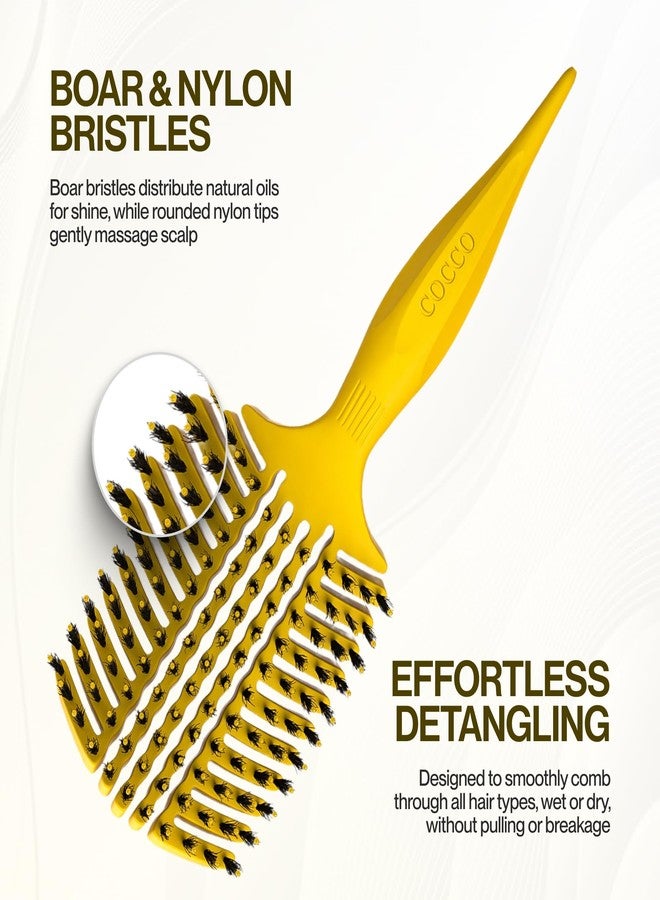 COCCO Aura Vent Boar Brush | Vented Dual-Curved Design for Faster Drying, Effortless Detangling & Shine, Boar + Nylon Bristles, Ergonomic Comfort Handle for Wet & Dry Hair Styling - Yellow - Image 5