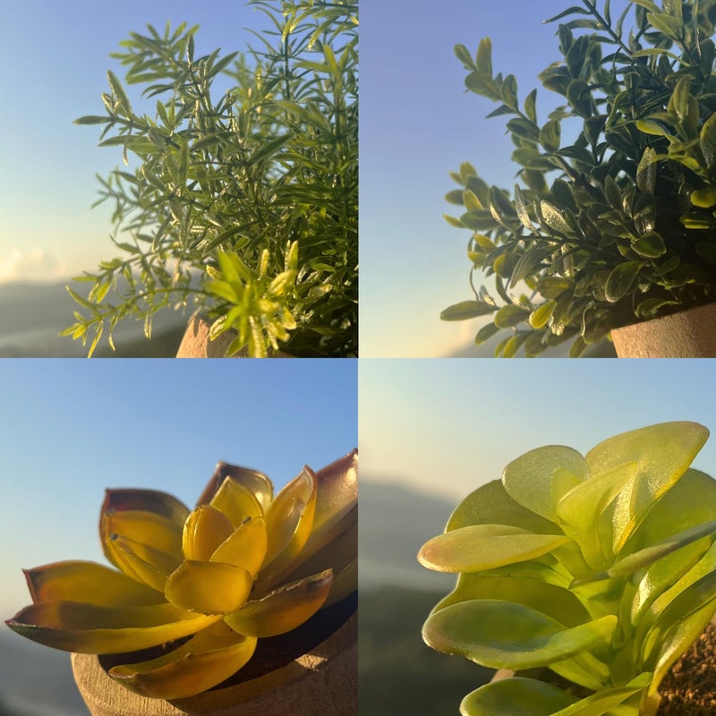 PENGYEE 4Pcs Fake Succulents Plants Artificial Plants Indoor for Office Decor - Small Artificial Plants in Pots for Desk Decorations - Fake Plant for Shelf Decor Kitchen Bedroom Living Room Decor - Image 4