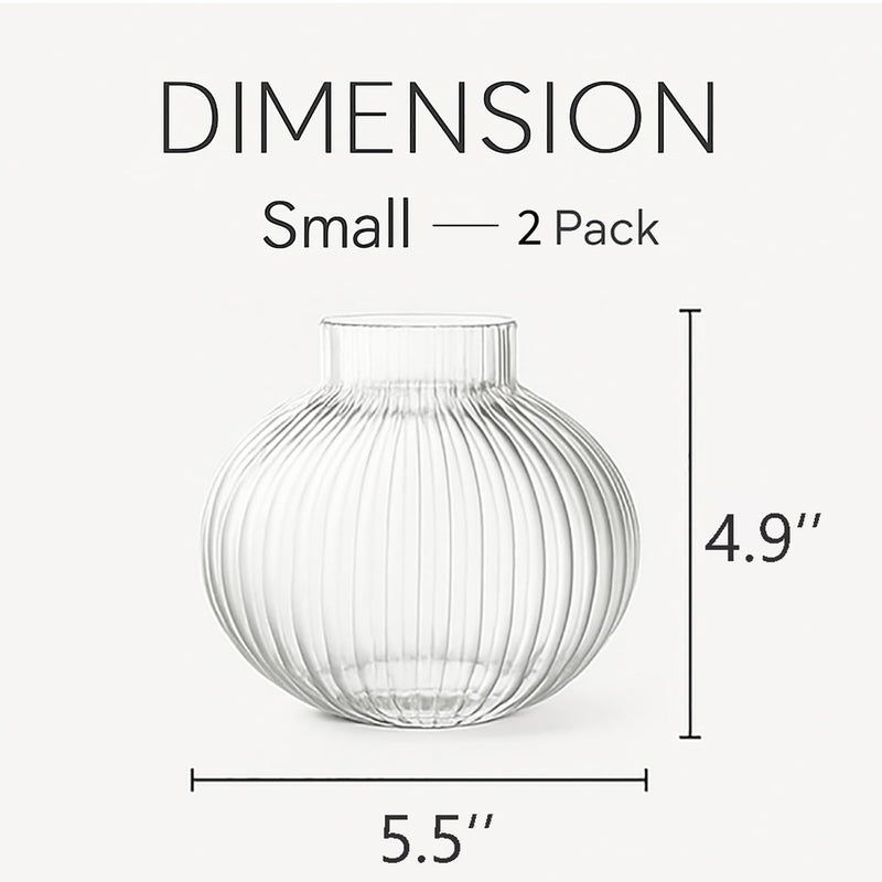 YANWE1 Round Glass Vases, Set of 2 Small Vases for Flowers, Clear Glass Vase for Tulips, Modern Vase for Living Room, Office, Coffee Table, Shelf, Wedding, 5 Inches - Image 2