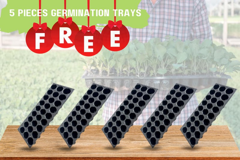 Halsey Big Size Flower Plant Pots, Outdoor & Indoor Pots for Plants, Gamla for Plants, Large Plant Pot(Pack of 3) with Plate, Multicolor - Image 3
