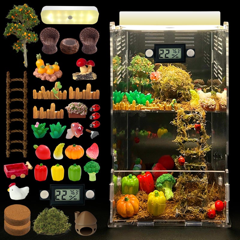 KFPSHLQE Jumping Spider Enclosure,DIY Insects Habitat,Small Reptile Terrarium Glass House Accessories Set,with Temperature and Humidity Detector Water Feeder Platform Hide,5.5â€œx5.5â€x9.5â€œ (Farm) - Image 1
