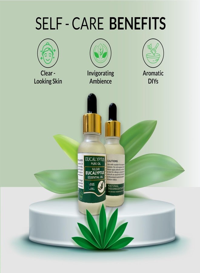 Eucalyptus Essential Oil - 100% Pure & Natural | Headache Relief Thailam | Natural Essential Oil | 30ml - Image 2