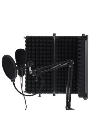 Microphone Isolation Shield, 3-Panel Pop Filter, High Density Absorbent Foam Front & Vented Metal Back Plate, Compatible with Blue Yeti and Any Condenser Microphone Recording Equipment - pzsku/Z868CC573BEBDD5B35E65Z/45/_/1669921746/c064bd33-e2ff-4e3a-b864-840de8f8bdc3