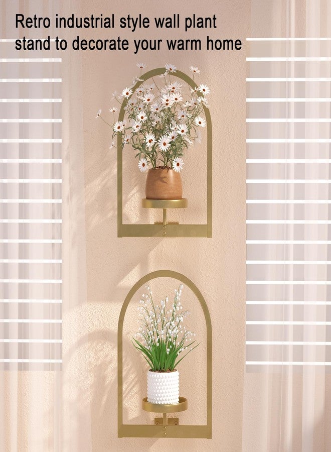Flenpptly Wall Plant Holder, Wall Planter for Indoor Plants, Window Plant shelves for Multiple Plants Indoor Outdoor, Framed Plant Holder for Home Decor (3 Pack) - Image 4