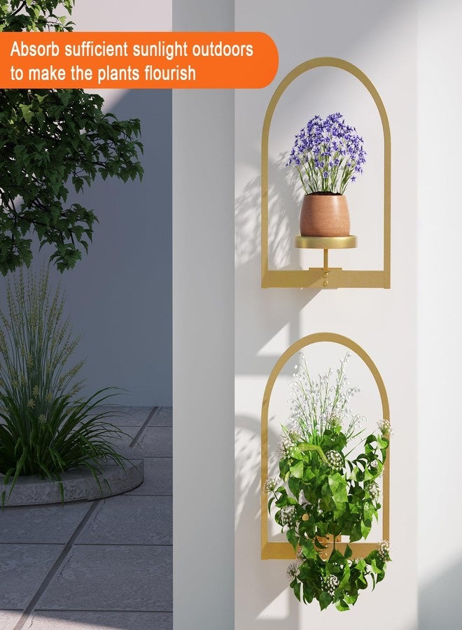 Flenpptly Wall Plant Holder, Wall Planter for Indoor Plants, Window Plant shelves for Multiple Plants Indoor Outdoor, Framed Plant Holder for Home Decor (3 Pack) - Image 5