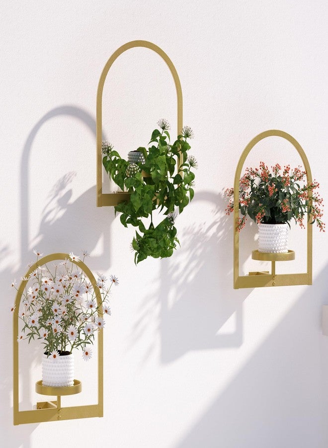 Flenpptly Wall Plant Holder, Wall Planter for Indoor Plants, Window Plant shelves for Multiple Plants Indoor Outdoor, Framed Plant Holder for Home Decor (3 Pack) - Image 1