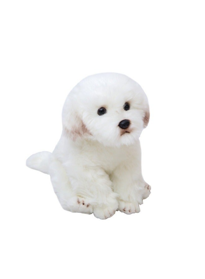 general Simulation Maltese dog doll soothing dog doll cute plush toy dog doll Bichon dog ornament 24cm× 16cm×26cm - Image 1