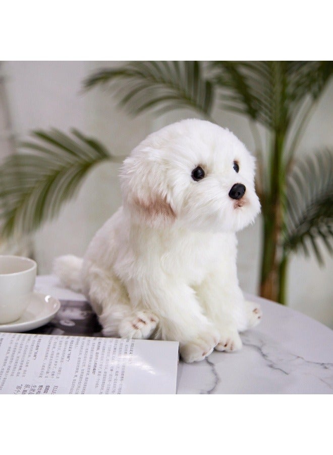 general Simulation Maltese dog doll soothing dog doll cute plush toy dog doll Bichon dog ornament 24cm× 16cm×26cm - Image 3