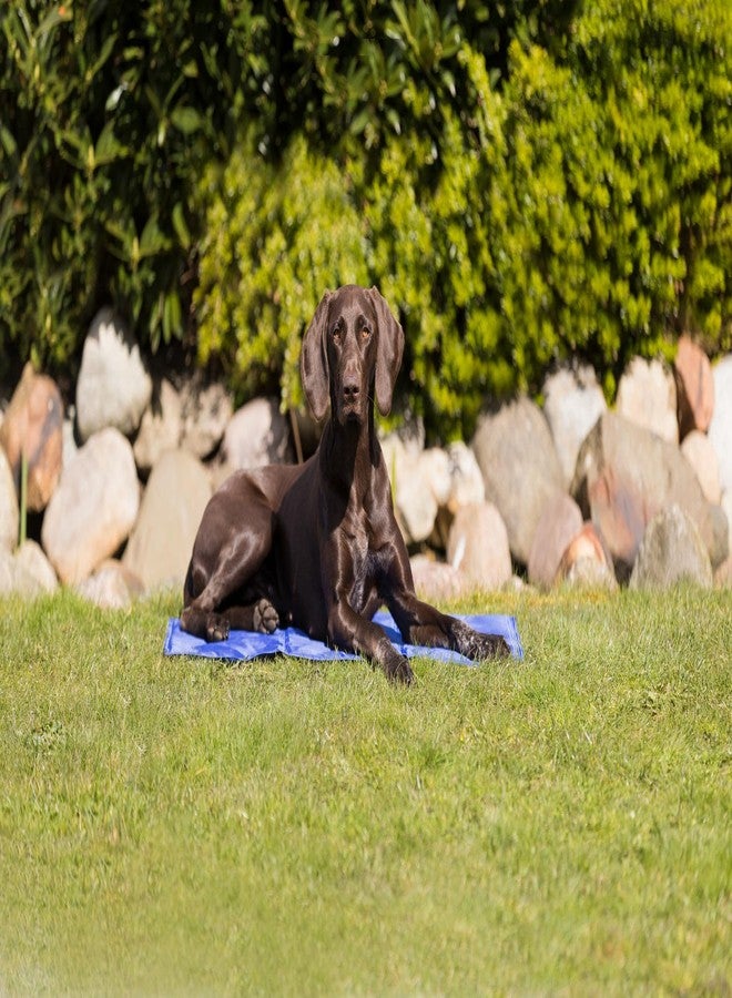 تريكسي، ألمانيا، حصيرة تبريد تريكسي للكلاب/القطط، أزرق (35 × 20 بوصة)، أزرق، صغير، 1000 جرام، صغير (4011905286860) - Image 5