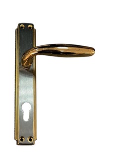 SOMER DOOR HANDLE  Gold/Saten 0520-1996B SN/GP SOMER 