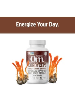 Cordyceps Mushroom Superfood 90Vcaps - pzsku/Z8690D2D9E8E9C422749DZ/45/_/1726230907/f3617c77-942c-4529-8b22-b449f2eb7cd2