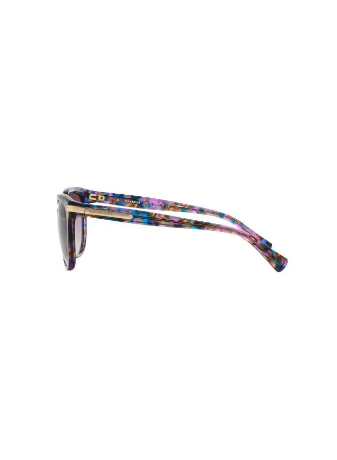 COACH  0Hc8132 Oversized Sunglasses for Women | Best Price UAE