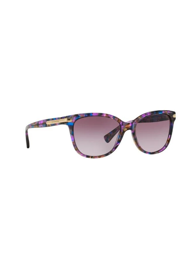COACH  0Hc8132 Oversized Sunglasses for Women | Best Price UAE