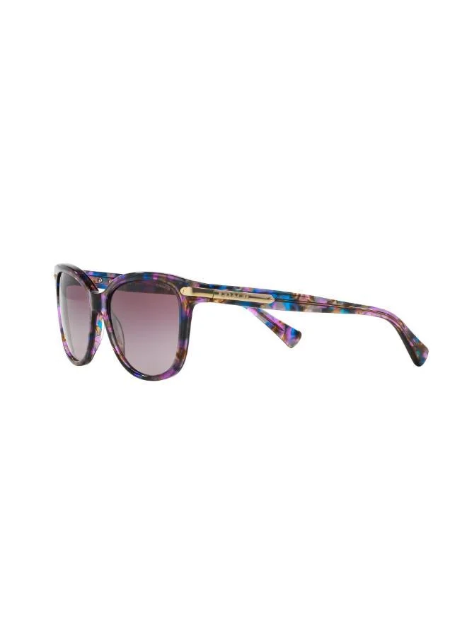 COACH  0Hc8132 Oversized Sunglasses for Women | Best Price UAE