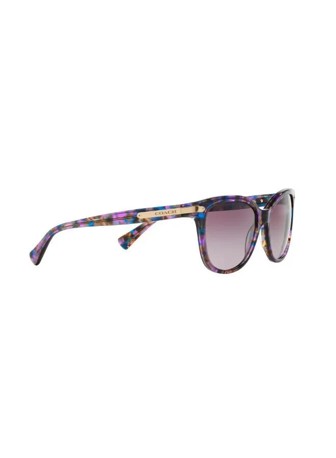 COACH  0Hc8132 Oversized Sunglasses for Women | Best Price UAE