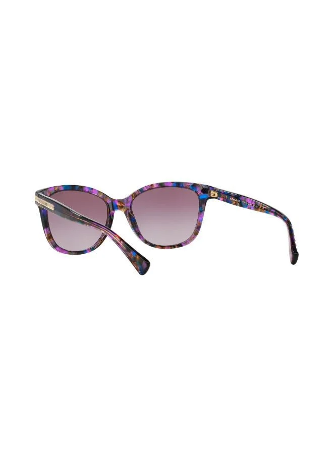 COACH  0Hc8132 Oversized Sunglasses for Women | Best Price UAE