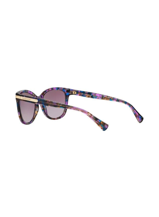 COACH  0Hc8132 Oversized Sunglasses for Women | Best Price UAE
