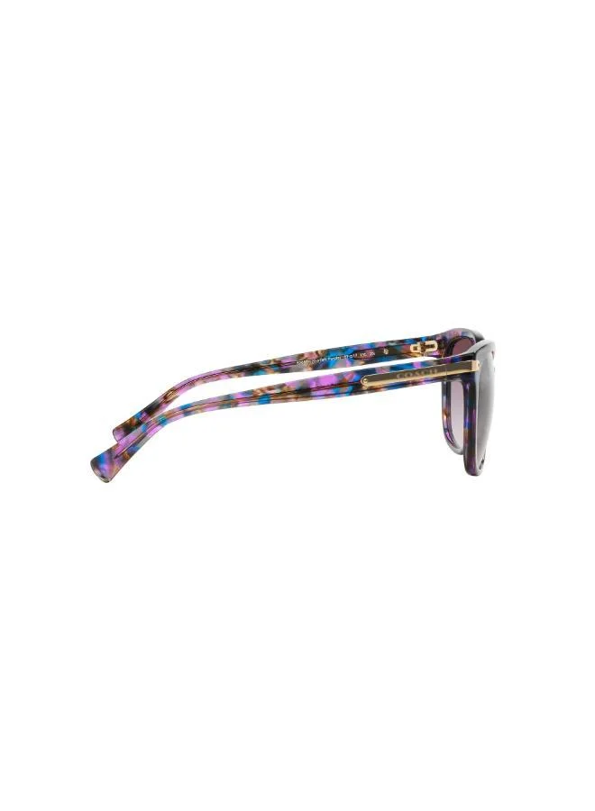 COACH  0Hc8132 Oversized Sunglasses for Women | Best Price UAE