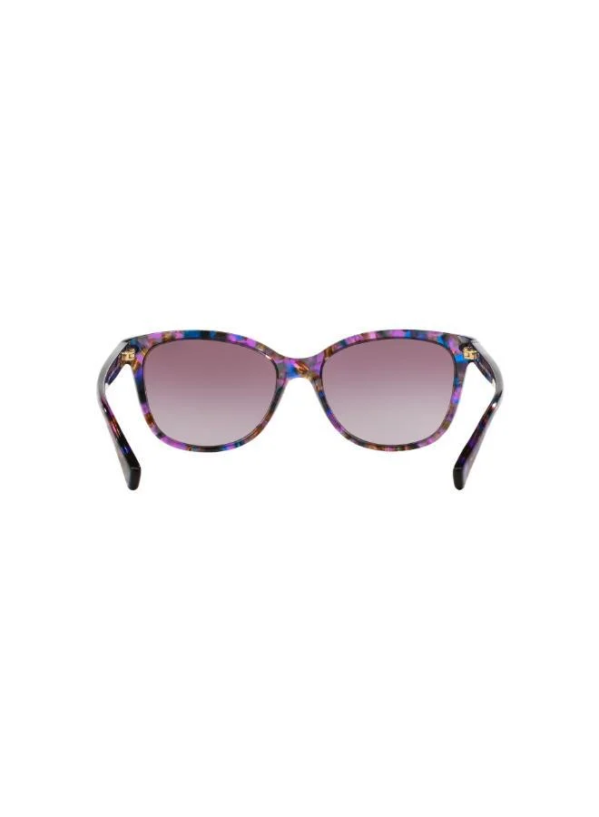COACH  0Hc8132 Oversized Sunglasses for Women | Best Price UAE
