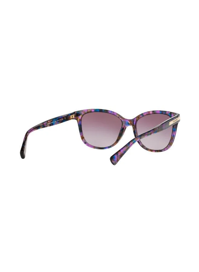 COACH  0Hc8132 Oversized Sunglasses for Women | Best Price UAE