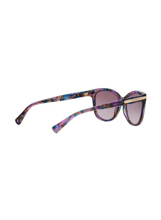 COACH  0Hc8132 Oversized Sunglasses for Women | Best Price UAE