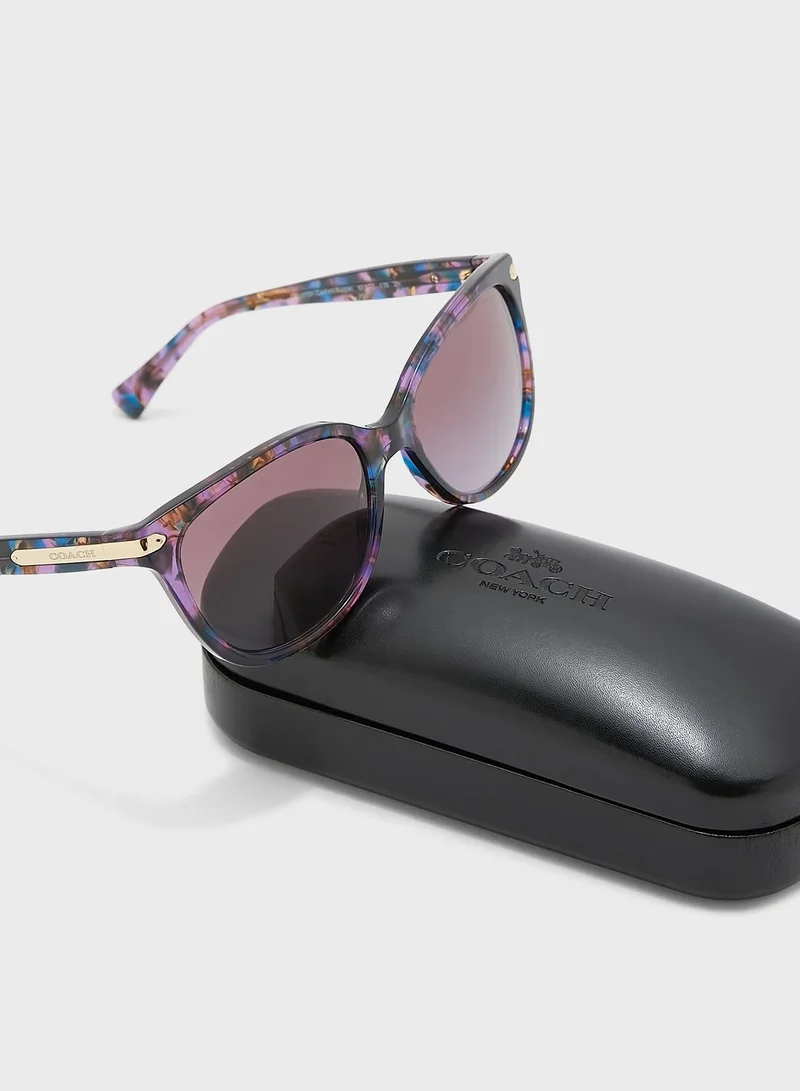 COACH 0Hc8132 Oversized Sunglasses