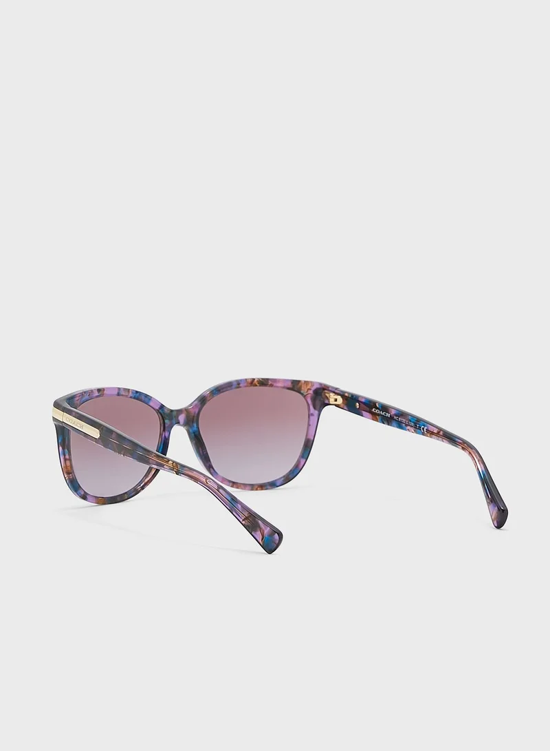 COACH 0Hc8132 Oversized Sunglasses