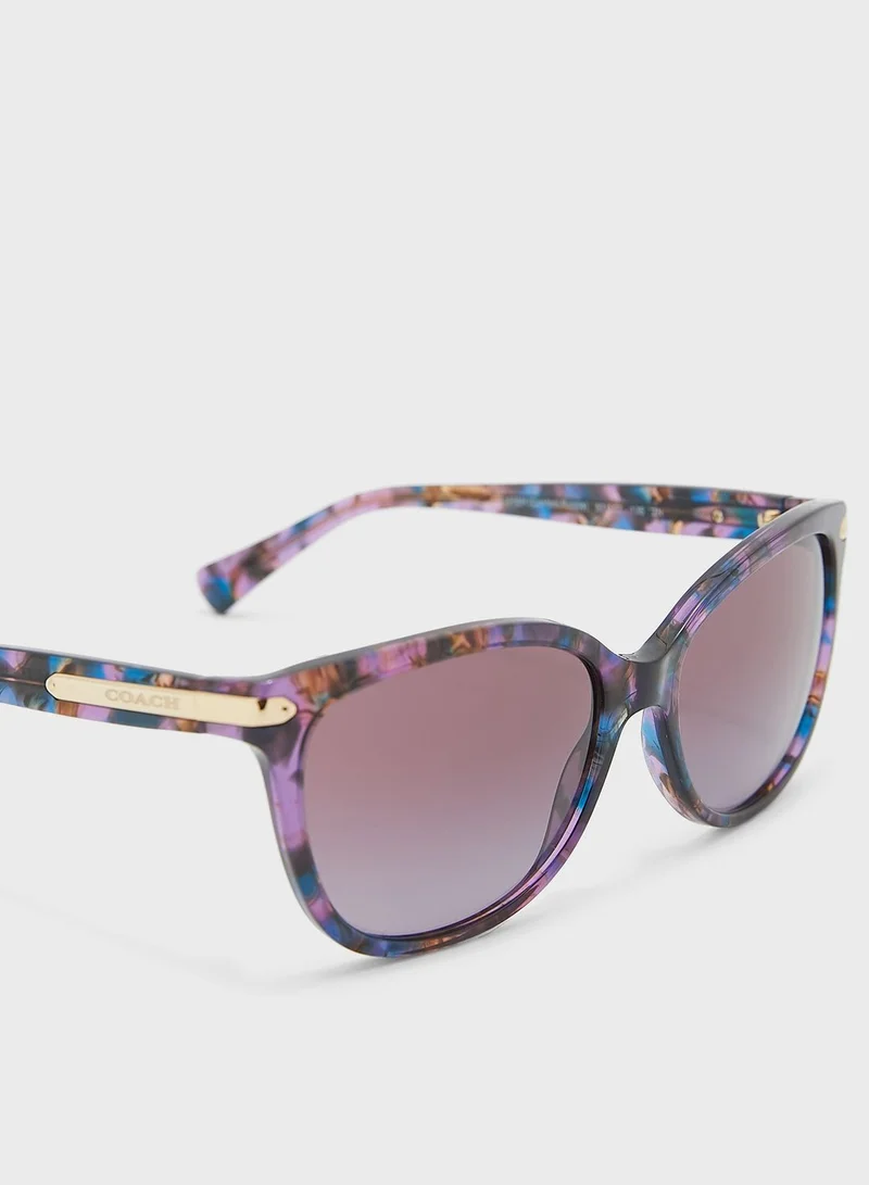 COACH 0Hc8132 Oversized Sunglasses