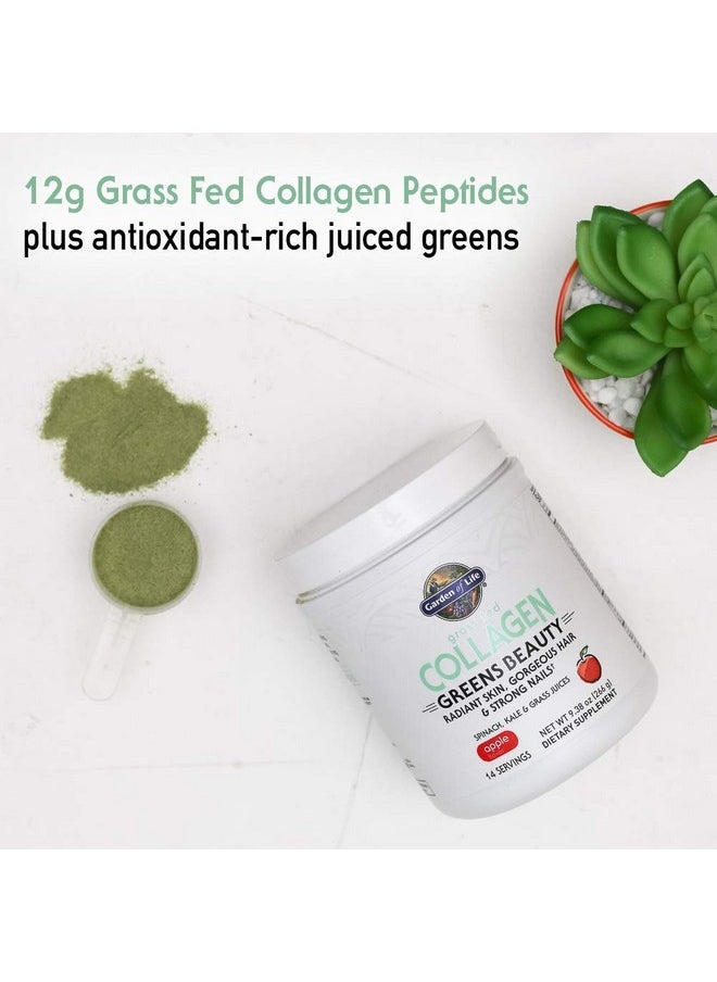 Garden of Life - Grass Fed Collagen Greens Beauty Powder Apple 14 Servings Collagen Powder For Women Skin Hair Nails Joints Collagen Peptides Powder Collagen Protein + Greens Collagen Supplement - Image 1