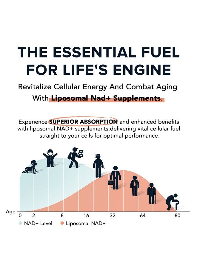 فاباماكس مكمل غذائي ليبوسومي NAD بتركيز 1600 ملغ، مكمل غذائي NAD+ نقي بنسبة 98%، امتصاص فائق، بديل لريبوسيد النيكوتيناميد أو NADH لتعزيز NAD+ للدفاع ضد الشيخوخة، والطاقة، وطول العمر، 120 كبسولة هلامية  - Image 3