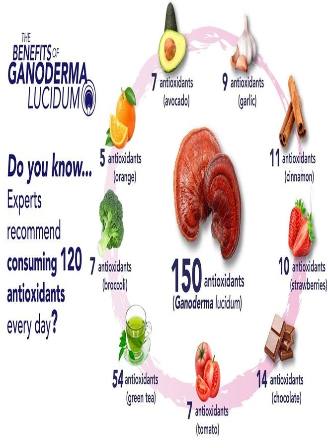 GanoCafé AliGanocafe هو مزيج من القهوة المعززة بمستخلص فطر غانوديرما لوسيدوم، ومستخلص جينسنغ، وكريمة نباتية، وسكر Gano Excel 15 كيسًا. - Image 4