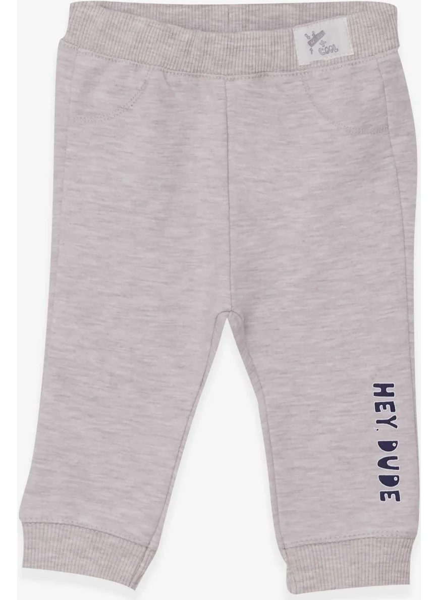 Breeze Baby Boy Sweatpants Printed Beige Melange (9 Months-3 Years)