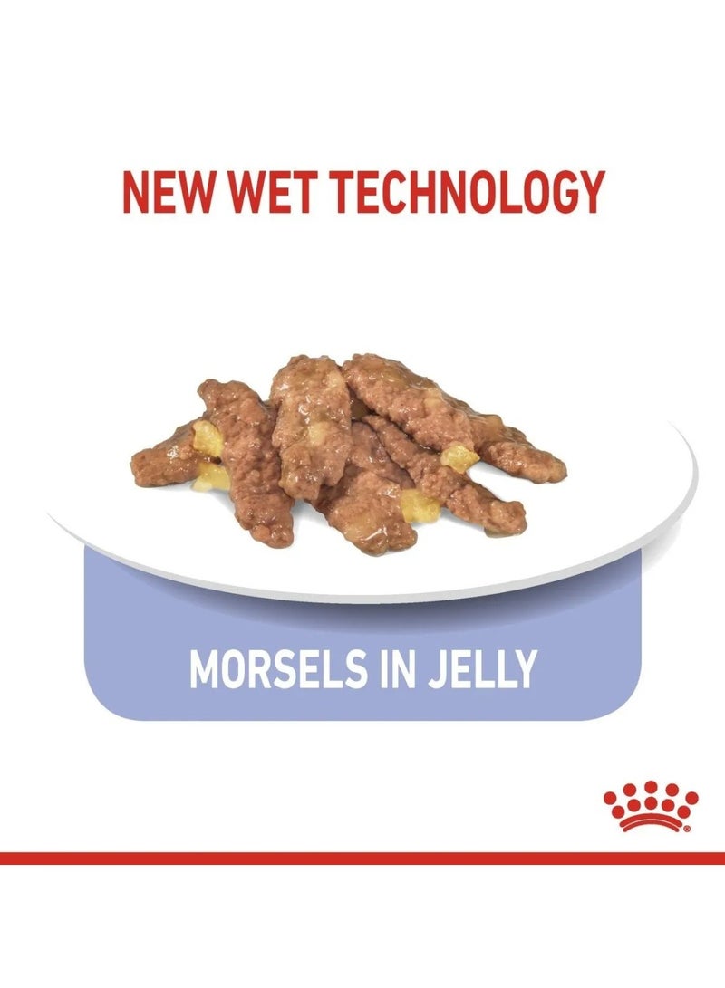 رويال كانين غذاء رويال كانين الصحي للقطط (طعام رطب - أكياس) ١٢ × ٨٥ جم - Image 3