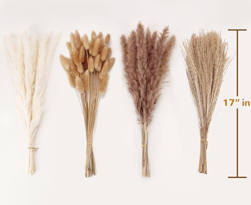ANPROOR Dried Pampas Grass Decor, 100 Stems Pampas Grass Contains Bunny Tails Dried Flowers, Reed Grass Bouquet for Wedding Boho Flowers Home Table Decor, Rustic Farmhouse Party (17", White and Brown) - Image 2