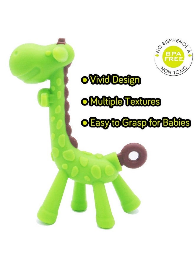 QUALEAP Stand-Up Teething Toys For Babies 0-6 Months 6-12 Months - Teethers With 2 × Baby Fruit Feeders And 4 × Baby Teether - Bpa Free/Freezer Free - Different Soft Textures For Infant And Toddlers (Green) - Image 3